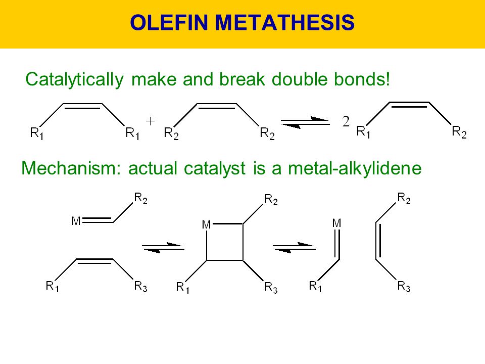 Well-defined ruthenium olefin metathesis catalysts: Mechanism and activity